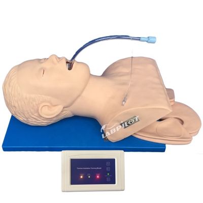 Emergency Skills Teaching Item Intubation Training Simulator with Electronic Monitor