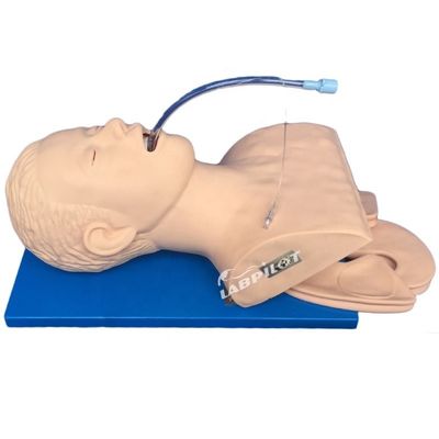 Emergency Skills Teaching Item Intubation Training Simulator with Electronic Monitor