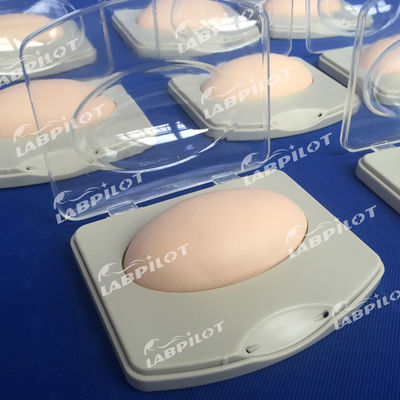 Advanced PVC Subcutaneous Implantation Demonstration Pad for Family Planning Training