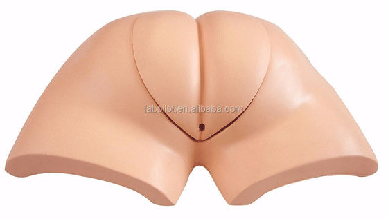 Wearable Artificial Defecation Simulator for Comprehensive Nursing Skills Training