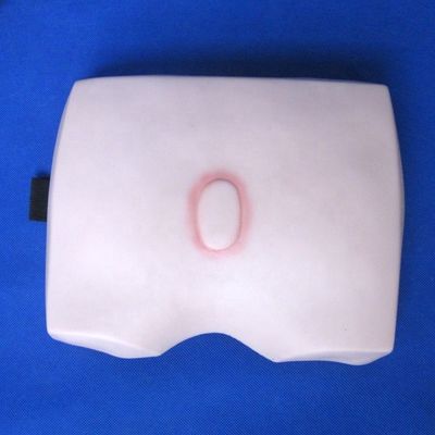 Clinical Nursing Training Models Stages of Decubitus Ulcer Nursing Care for Hospitals