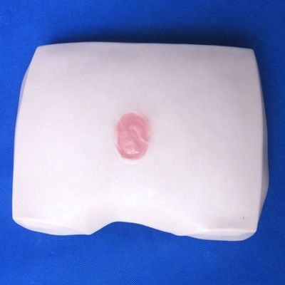 Clinical Nursing Training Models Stages of Decubitus Ulcer Nursing Care for Hospitals
