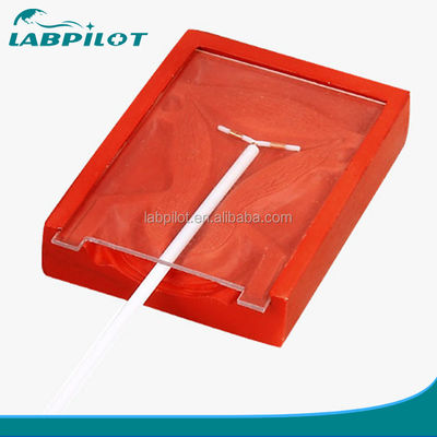 Manikin for Medical Science Intrauterine Contraceptive Device Training Simulator
