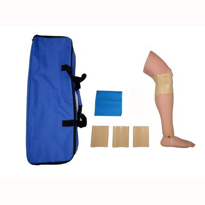 Adult Leg Model Lower Limb Bone Marrow Puncture Training for Medical Science Students