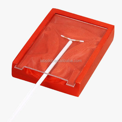 Manikin for Medical Science Intrauterine Contraceptive Device Training Simulator