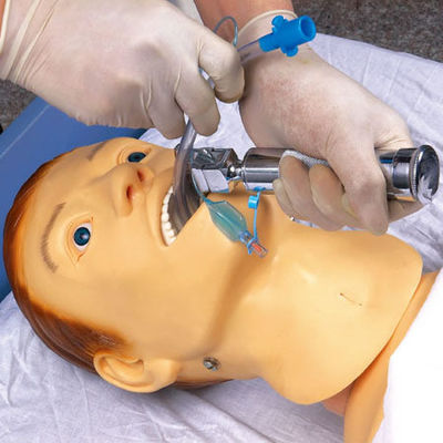 Medical Teaching Simulators Nursing Training Manikin for NG Tube Feeding and Intubation