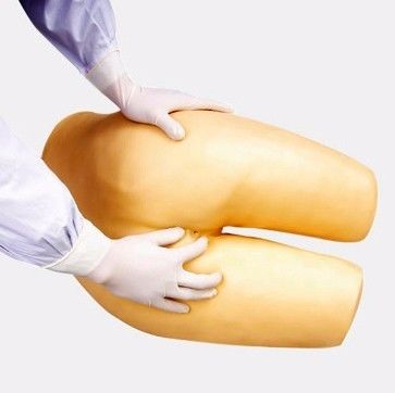 Assisted Defecation and Enema Care Training Model Ideal for Medical Science Education