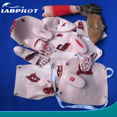 Upgrade Your Wound First Aid Training Care with Advanced PVC Trauma Simulation Kit
