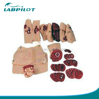 Upgrade Your Wound First Aid Training Care with Advanced PVC Trauma Simulation Kit