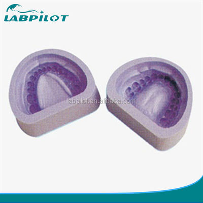 Medical Educational Models Standard Teeth Mold with Dentition Model in Clinics