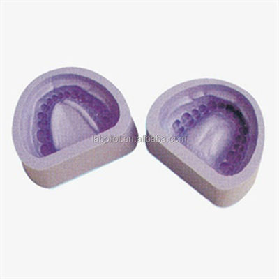 Medical Educational Models Standard Teeth Mold with Dentition Model in Clinics