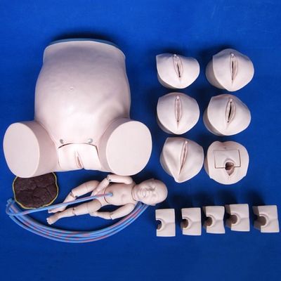 Patients Care demonstration Comprehensive Childbirth Skill Training Model Obstetric Technical Training Manikin