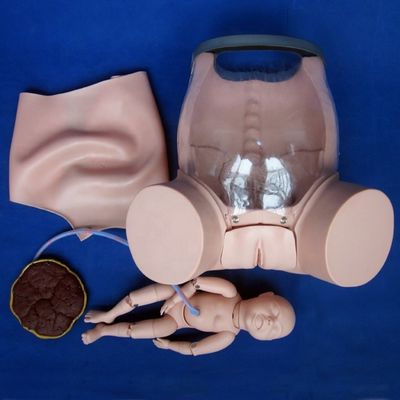 Patients Care demonstration Comprehensive Childbirth Skill Training Model Obstetric Technical Training Manikin
