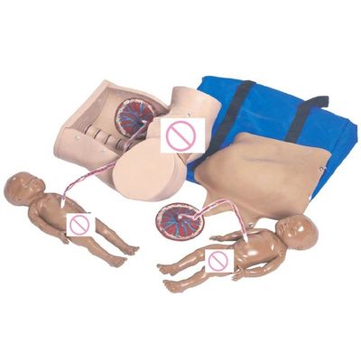 Manikin for Leopold Maneuvers and Childbirth Skills Training in Nurse-Midwife Program