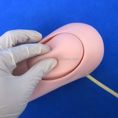 Advanced PVC Upper Limb Trauma Haemorrhage and Amputated Arm Model for Medical Science