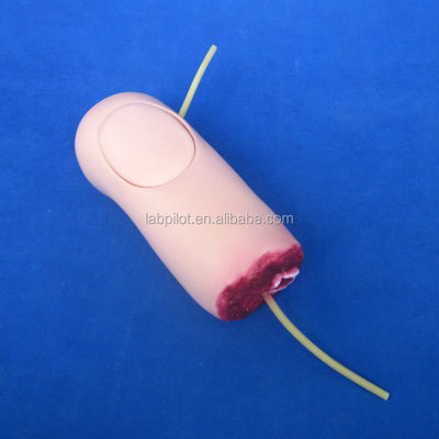 Advanced PVC Upper Limb Trauma Haemorrhage and Amputated Arm Model for Medical Science