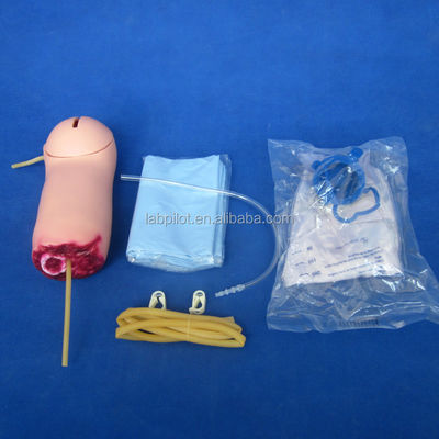 Advanced PVC Upper Limb Trauma Haemorrhage and Amputated Arm Model for Medical Science