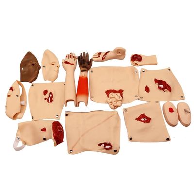 Advanced PVC Trauma Models for Wound Nursing Training and Patients Care Demonstration