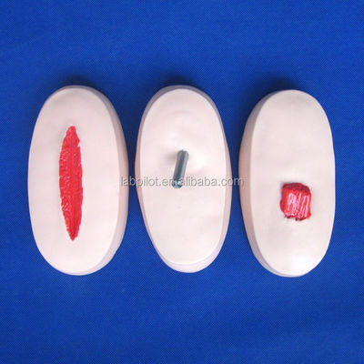 Advanced PVC Trauma Models for Wound Nursing Training and Patients Care Demonstration