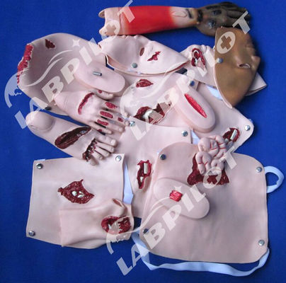Advanced PVC Trauma Models for Wound Nursing Training and Patients Care Demonstration