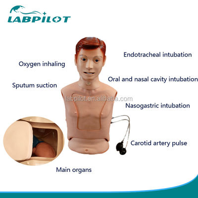 Half-body Nursing Manikin for Nasogastric Feeding and Trachea Intubation Training Aid