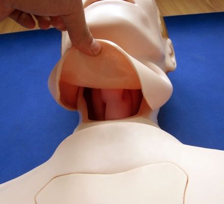 Half-body Nursing Manikin for Nasogastric Feeding and Trachea Intubation Training Aid