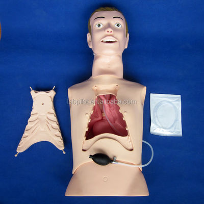 Half-body Nursing Manikin for Nasogastric Feeding and Trachea Intubation Training Aid