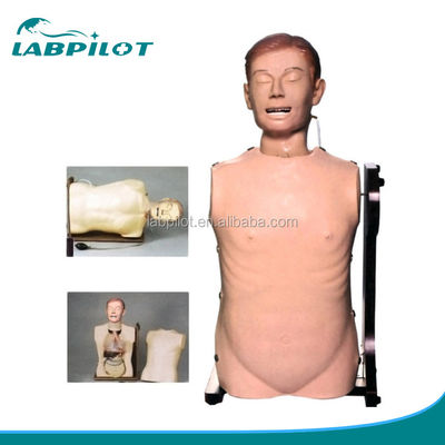 Human Life Size Nasal Feeding Mannequin for Airway Care and Gastrointestinal Practice