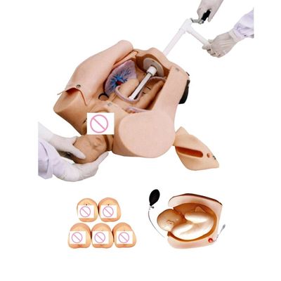 Comprehensive Childbirth Skills Training Mannequin for School of Nursing and Midwifery