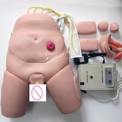 Electronic Monitor Urethral Catheterization Training Simulator for Nursing Skills