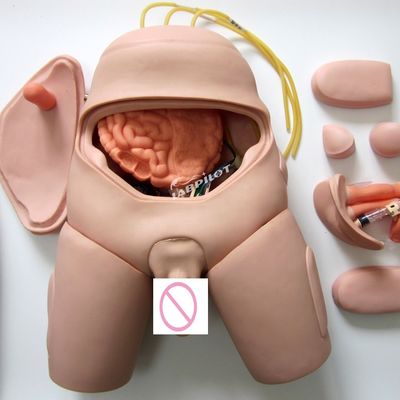Electronic Monitor Urethral Catheterization Training Simulator for Nursing Skills
