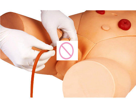 Electronic Monitor Urethral Catheterization Training Simulator for Nursing Skills