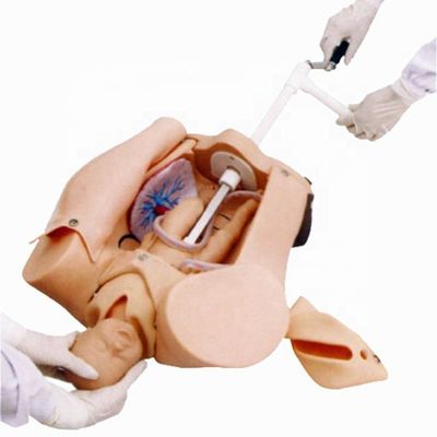 Childbirth Demonstration Simulator for Medical Science Training and Skill Development