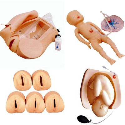 Childbirth Demonstration Simulator for Medical Science Training and Skill Development
