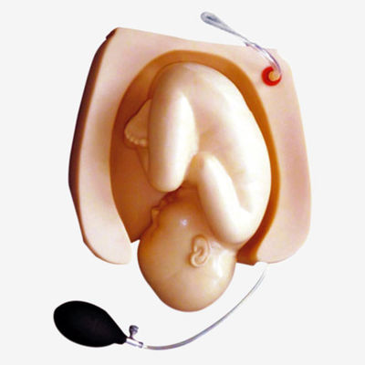 Childbirth Demonstration Simulator for Medical Science Training and Skill Development