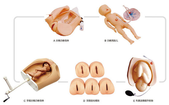Childbirth Demonstration Simulator for Medical Science Training and Skill Development