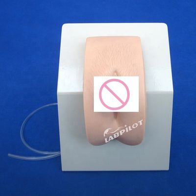 Subject Medical Science Vivid Female Genitalia Training Bladder Model for Catheterization