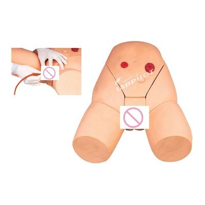 Intramuscular Injection Training Model for Female Catheterization Skill Development