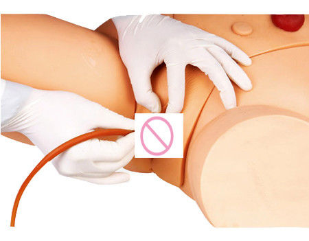 Intramuscular Injection Training Model for Female Catheterization Skill Development