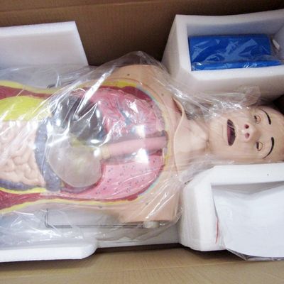 Innovative Nasal Gastric Tube and Trachea Skills Nursing Manikin with Realistic Features