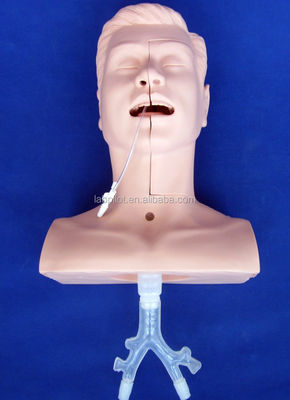 Schools' Preferred Manikin for Advanced Suction Training and Sputum Suctioning Model