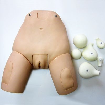 Advanced Fundus Simulator for Uterus Examination Model Postpartum Female Manikin
