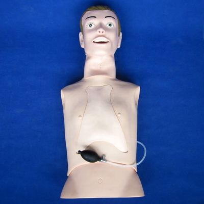 Professional Human Size Intubation and Suction Training Manikin with Nursing Function