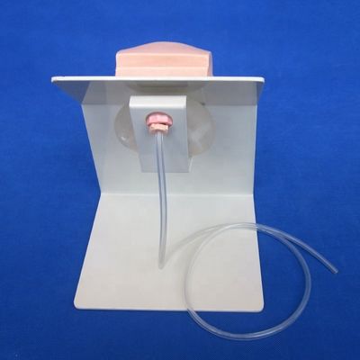 Realistic Human Manikin Economic Male Catheterization Teaching Simulator Nursing Training Model