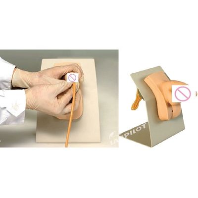 Realistic Human Manikin Economic Male Catheterization Teaching Simulator Nursing Training Model