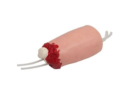 Human Life Size Thigh Hemorrhage Amputated Simulation for Medical Science Teaching