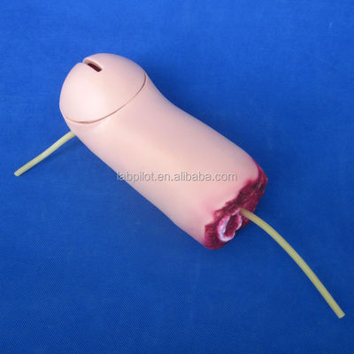 Arm Amputation and Hemostasis Training Model Vivid Bleeding Wound Nursing Care Module