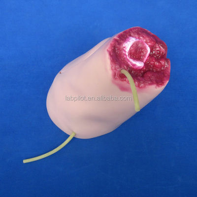 Manikin for Hemostasis Practice Training Model Trauma First Aid Bandaging Limb