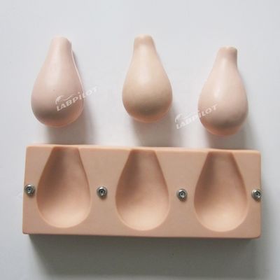 Patients Care Demonstration Artificial Abortion Simulated Uterus for Training Model