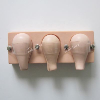 Patients Care Demonstration Artificial Abortion Simulated Uterus for Training Model